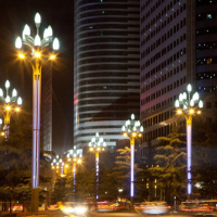 户外中华灯 LED玉兰灯景观灯小区公园照明道路照明 霁月灯饰